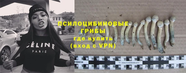 индика Вяземский