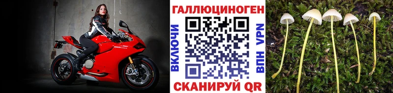 дарк нет какой сайт Новая Ляля Галлюциногенные грибы ЛСД как найти наркотики